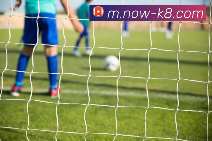 凯发娱乐平台生态图